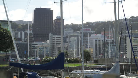 Masts-from-multiple-yachts-in-Wellington,-New-Zealand