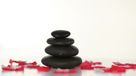 Black-stones-and-petals-turning-