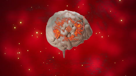 Animation-of-circuit-board-over-human-brain-spinning-on-red-background