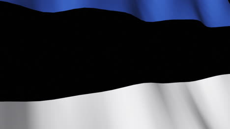 Estnische-Nationalflagge