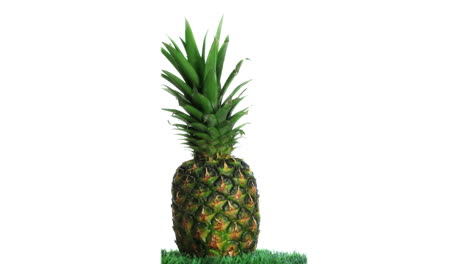 Ananas-Auf-Gras-Rotierend-