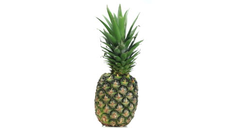 Große-Ananas-Rotierend-