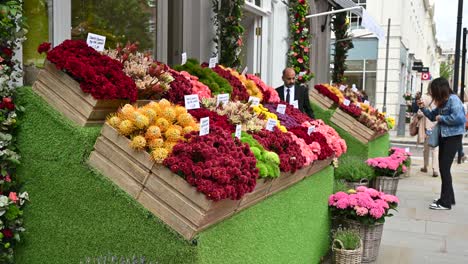 Bunte-Blumen-Auf-Dem-Chelsea-Flower-Market