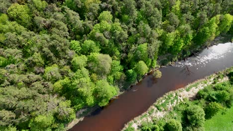 A-tranquil-river-flowing-through-a-lush-green-forest-in-spring,-aerial-view