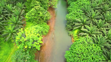 Fling-over-caue-river-at-São-Tomé-South-and-revealing-the-amazing-green-forest-and-also-cão-Grande-Peek,-sao-Tome,Africa