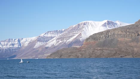 Natürliche-Schönheit-Grönlands,-Schneebedeckte-Berggipfel-über-Dem-Meer-An-Einem-Sonnigen-Frühlingstag