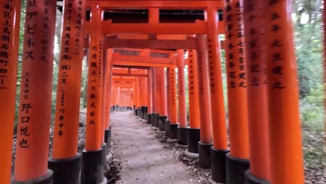 Las-Puertas-Torii-Del-Santuario-Fushimi-Inari-taisha-En-Kioto,-Japón---Tiro-De-Retroceso