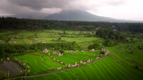 Pintorescas-Tierras-De-Cultivo-En-Bali,-Indonesia---Toma-Aérea-De-Drones