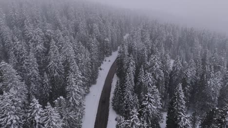 Aufsteigende-Drohnenaufnahme-Eines-Schwarzen-Autos-Auf-Einer-Bergstraße,-Umgeben-Von-Schneebedeckten-Bäumen-Während-Eines-Ruhigen,-Nebligen-Wintertages-In-Italien