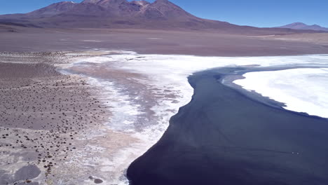 Desert-dry-scrub-arid-land-with-white-salt-crust-and-blue-river-in-Bolivia