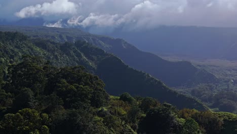 Panorámica-Aérea-Con-Teleobjetivo-A-Través-De-árboles-Lehua-En-Los-Valles-De-La-Costa-Norte-De-Maui.