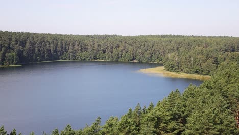 Friedliche-Naturlandschaft-Von-Oben-Auf-Einen-Fluss-Mitten-Im-Wald