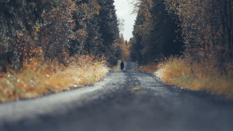 Eine-Frau-Mit-Einem-Kleinen-Weißen-Hund-Geht-Auf-Der-Unbefestigten-Straße-Durch-Den-Herbstlichen-Wald