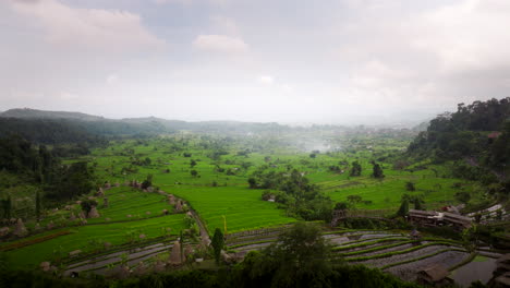 Morgennebel-Auf-Der-Reisterrasse-Von-Sidemen-In-Bali,-Indonesien