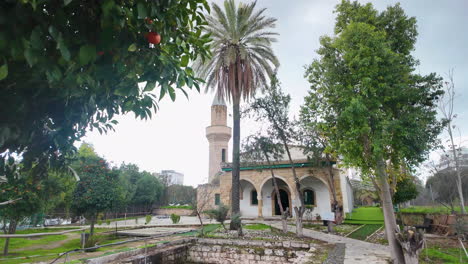 The-mosque-in-Nicosia,-Cyprus,-surrounded-by-a-lush-garden-with-orange-trees-and-a-tall-palm-tree