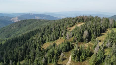 Wunderschöne-Berglandschaft-An-Einem-Sommertag-Mit-Berggipfeln,-Wäldern,-üppigem-Grün-Und-Bäumen