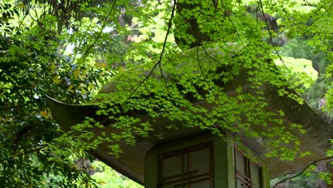 Slow-motion-cinematic-slider-over-beautiful-stone-pillar-inside-lush-green-forest