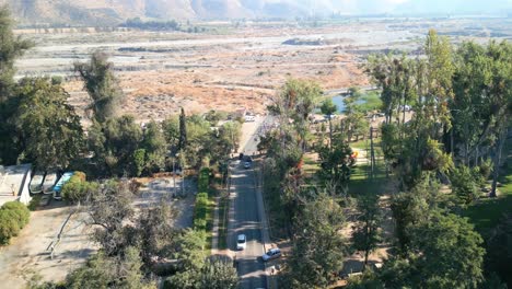 Grandes-árboles-A-Orillas-Del-Maipo,-En-La-Comuna-De-Buin,-País-De-Chile