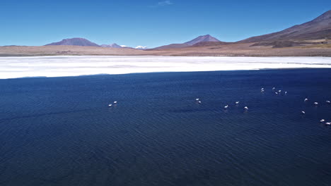 Vista-Aérea-Panorámica-De-La-Bandada-De-Flamencos-Reunidos-En-El-Agua-En-Uyuni,-Bolivia.