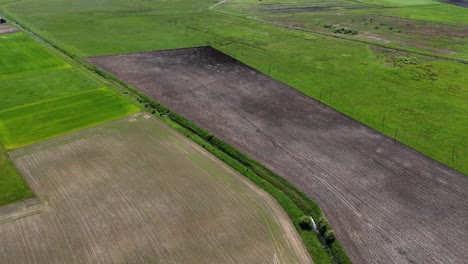 Ackerland-In-Litauen-Präsentiert-Nachhaltige-Landwirtschaft-Und-Grüne-Praktiken,-Luftaufnahme