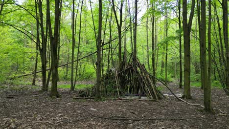 Cabaña-En-El-Bosque-Durante-Un-Hermoso-Día-De-Verano-Con-Exuberante-Vegetación,-Hierba,-Hojas-Y-árboles