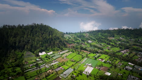 Malerische-Felder-Und-üppige-Vegetation,-Mount-Batur-Landschaft-In-Bali,-Indonesien---Luftaufnahme