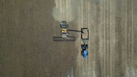 Combine-harvested-transporting-grain-of-field-into-trailer-or-tractor