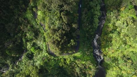 üppiges-Grün-Entlang-Der-Kurvenreichen-Straße-Und-Des-Flusses-Auf-Mauis-Malerischem-Hana-Highway