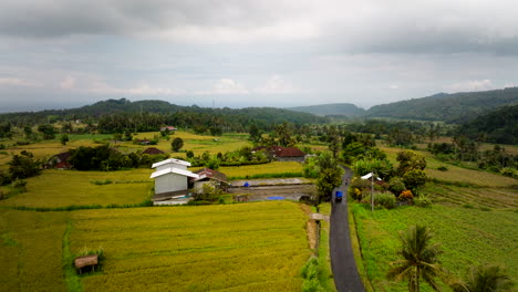 Asphalt-Road-Through-Rice-Fields-With-Typical-Rural-Houses-On-Cloudy-Day-In-Bali,-Indonesia