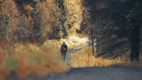 A-woman-walks-a-dog-along-the-forest-road