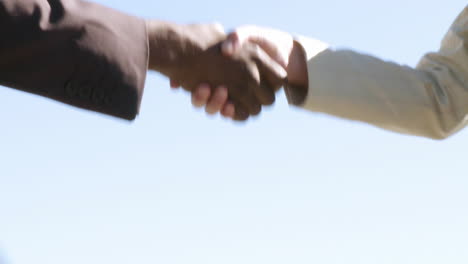 Two-businesspeople-shaking-hands-multi-cultural