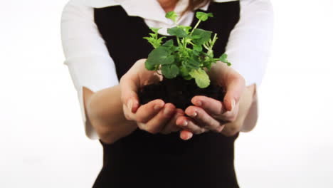 Woman-Holding-a-plant-in-her-hands