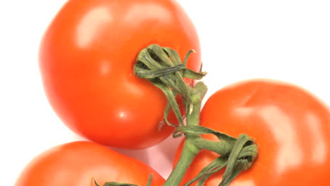 Tomaten-2