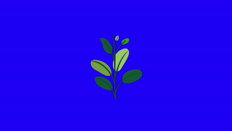Pflanze-Mit-9-Blättern-Wächst-Und-Keimt-Auf-Blauem-Hintergrund