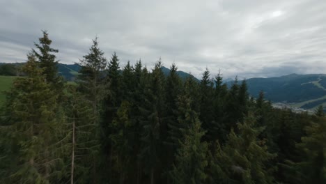 Flying-above-the-tree-tops,-aerial-shot