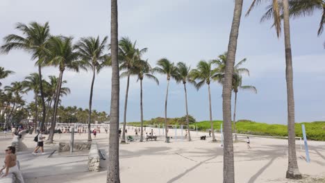 Palmeras-Bordean-La-Playa-De-Arena-De-Miami-Beach-Con-Gente-Disfrutando-Del-Día-Soleado