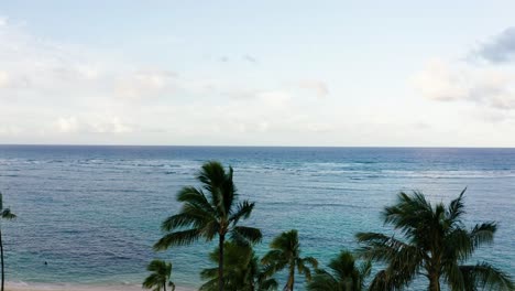 Elevándose-Sobre-Palmeras-Para-Revelar-La-Bahía-De-Waikiki-En-Oahu.