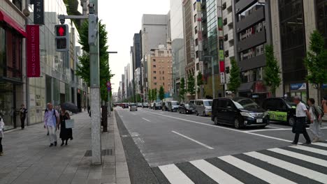 Typical-Tokyo-scenery-in-Ginza-shopping-district-in-center-of-the-city