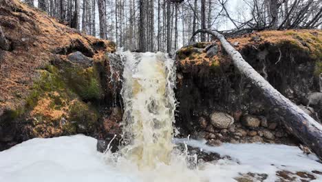 Natural-waterfall-in-the-spring-forest,-water-and-lively-nature