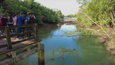 Pasir-Ris-Mangrove-Park-is-a-tranquil-nature-reserve-located-in-the-eastern-part-of-Singapore,-within-Pasir-Ris-Park