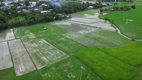 Orbiting-aerial-view-of-agricultural-fields-with-rice-paddies-in-Catanduanes,-Bicol,-Philippines