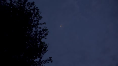 Aufnahme-Des-Himmels-Mit-Baum,-Wolken-Und-Mond