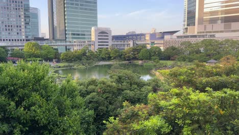 Lush-urban-park-with-pond-and-trees-surrounded-by-city-buildings-at-dusk