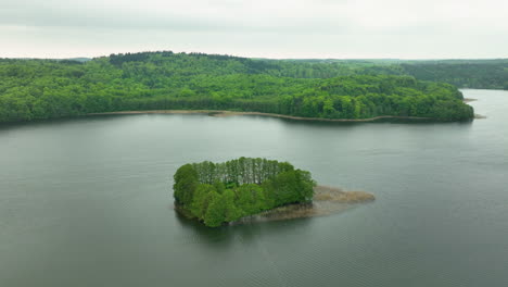 Una-Vista-Aérea-De-Una-Pequeña-Isla-Cubierta-De-Densos-árboles-Verdes-En-Medio-De-Un-Lago,-Rodeada-De-Un-Exuberante-Bosque-Verde