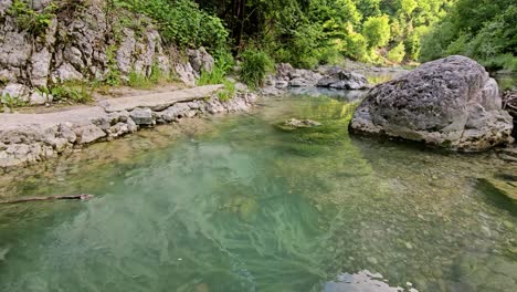 Dieses-Ruhige-Archivmaterial-Zeigt-Einen-Ruhigen-Kleinen-Fluss-Mit-Langsamer-Strömung,-Umgeben-Von-üppigem-Grün