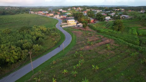 Drone-flying-over-whining-road-surrounded-by-plants-and-motorcycle-rider