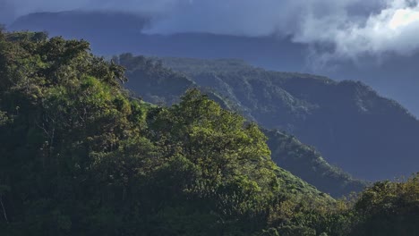 Wide-aerial-pan-of-hilly-green-forest-landscape-in-evening-sun,-Hawaii