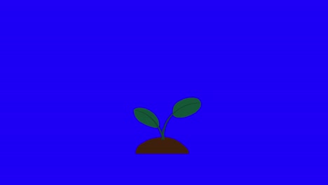 Plant-with-2-leaves-grows-and-germinates-on-dirt-mound-on-blue-background