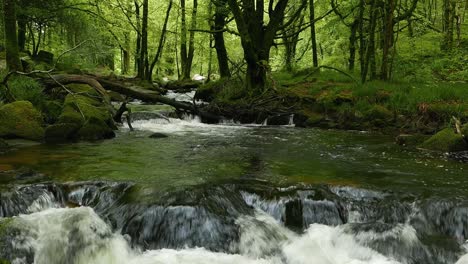 Stromschnellen-Entlang-Des-Flusses-Fowey,-Der-Durch-Wälder-Fließt
