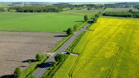Road-between-farmland-with-cars-driving-on-it,-rapeseed-field,-and-trees-in-the-background